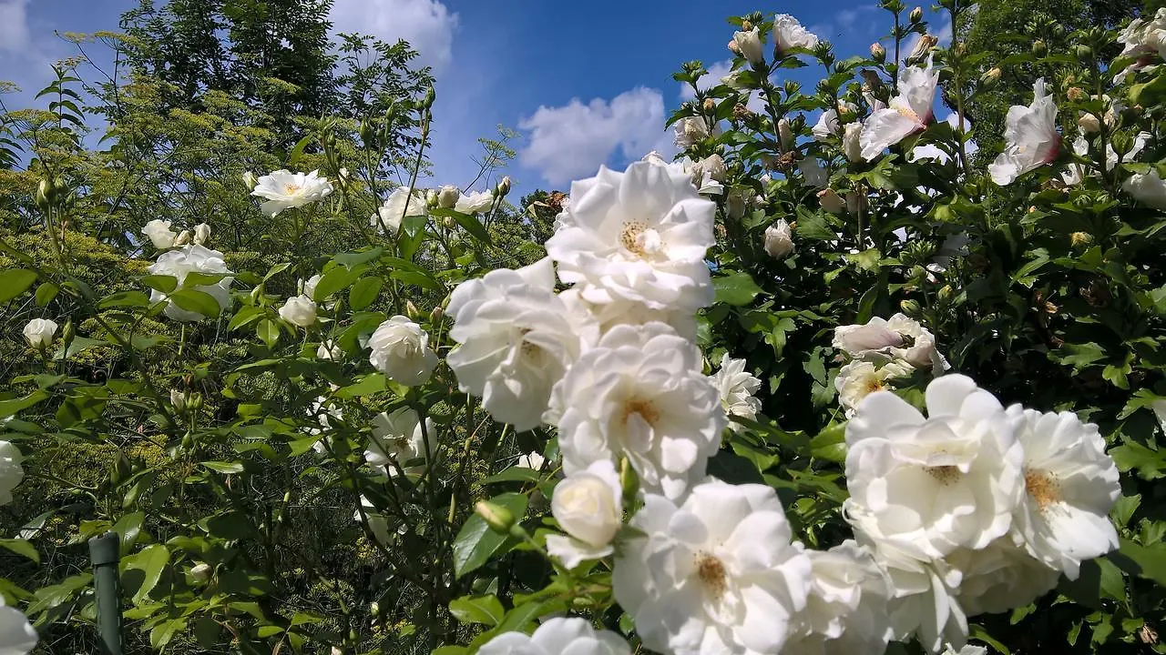 Das Kleine Hotel Iphofen, Fruehstueckszauber, No Waste, Nachhaltig, Nahe Aller Weingueter, Knauf Gips Kg Und Connekt, Kleines Secret Mit Garten & Terrassen, Tv Mirrorring, 55