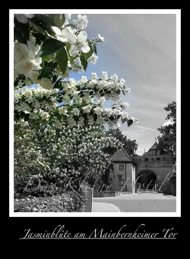 Das Kleine Hotel Iphofen, Fruehstueckszauber, No Waste, Nachhaltig, Nahe Aller Weingueter, Knauf Gips Kg Und Connekt, Kleines Secret Mit Garten & Terrassen, Tv Mirrorring, 55